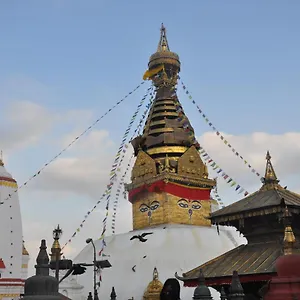 Pensión Stupa View
